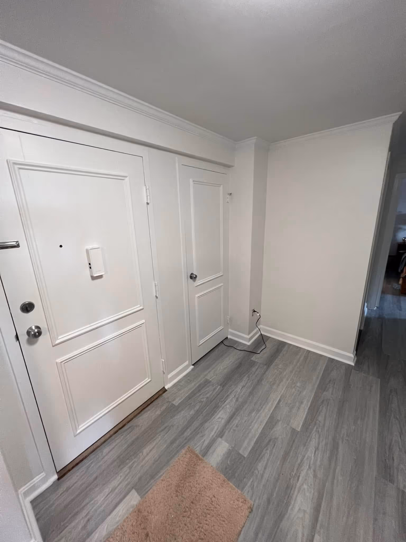 Entryway with two white doors, light gray wood floor, and a small beige rug.